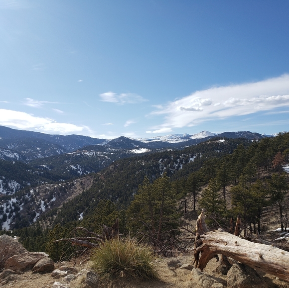 Meet your Posher, Dakota - Picture 4 of 8